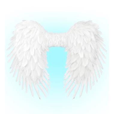 Ali Piumate Bianche cm.80x60 |Widmann