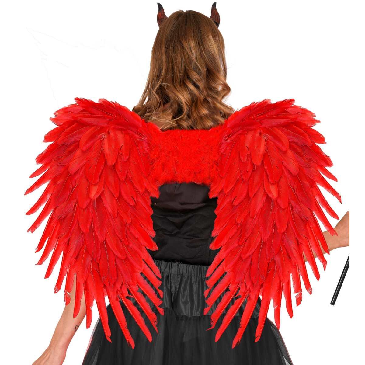 Ali Piumate Rosse cm.80x60 |Widmann