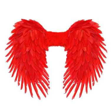 Ali Piumate Rosse cm.80x60 |Widmann