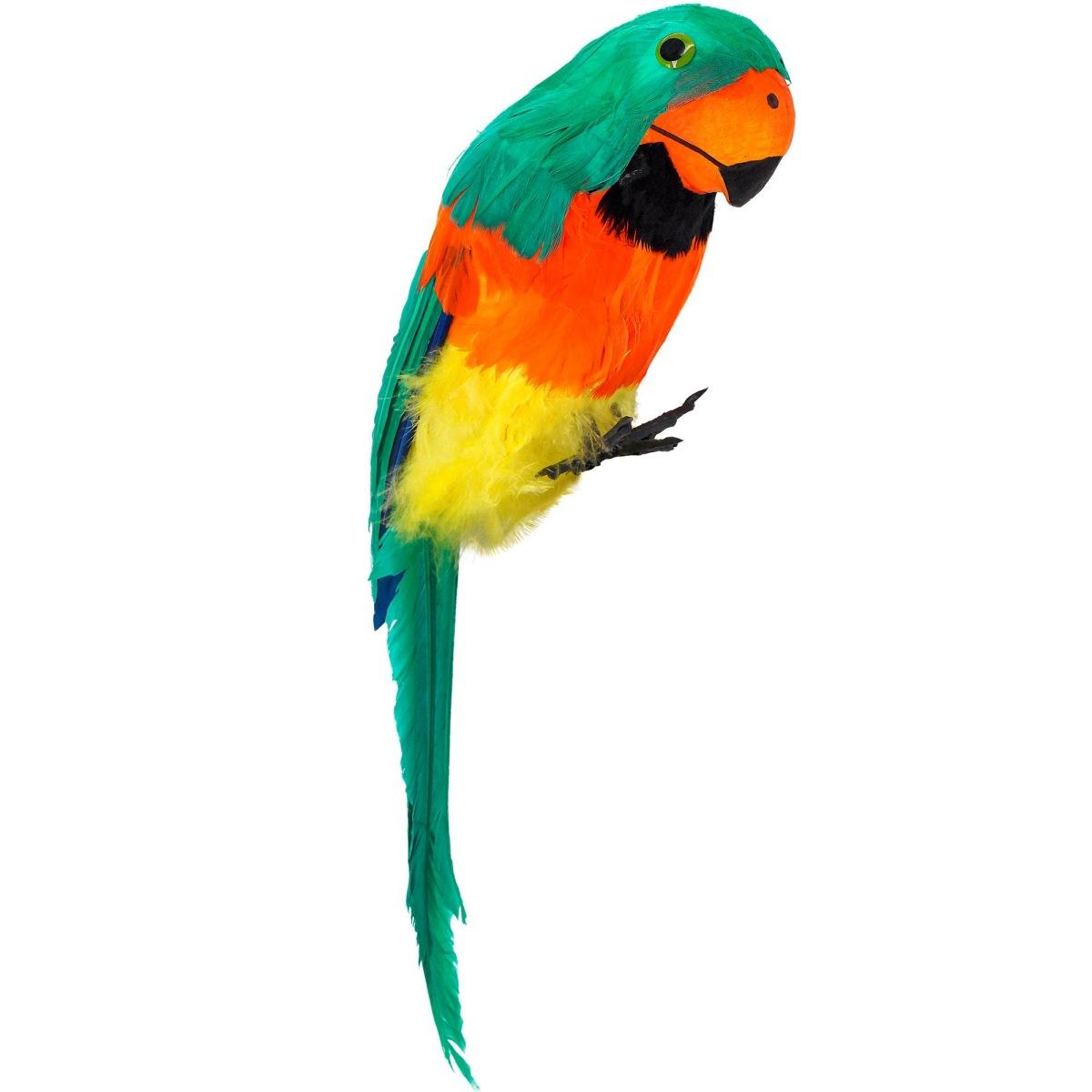 Pappagallo Piume Verdi cm.40 |Widmann