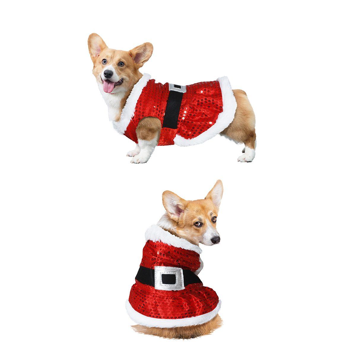 Costume Natale con Paillettes per Cani | Guirca