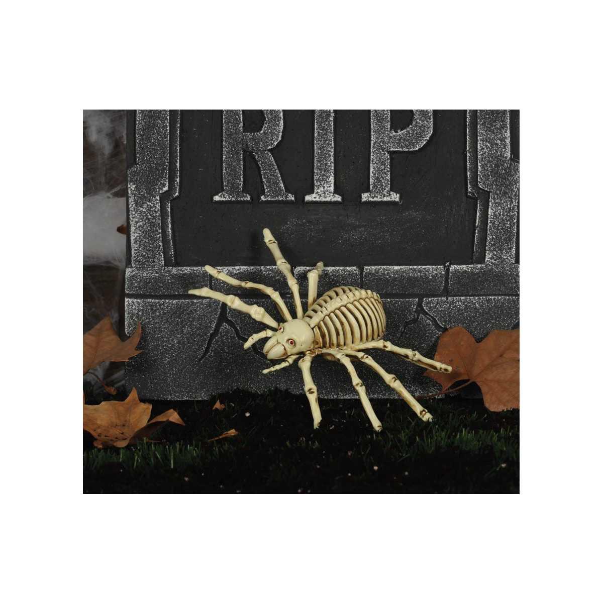 Scheletro Ragno cm.24 | Guirca