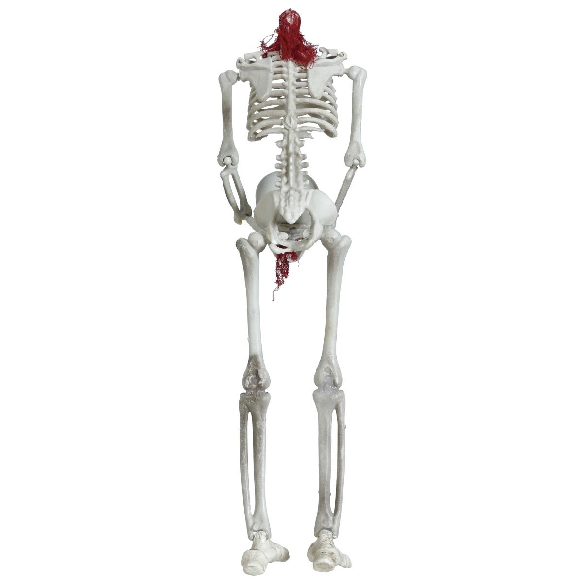 Scheletro da Appendere cm.37 con Testa in Mano |Guirca_911