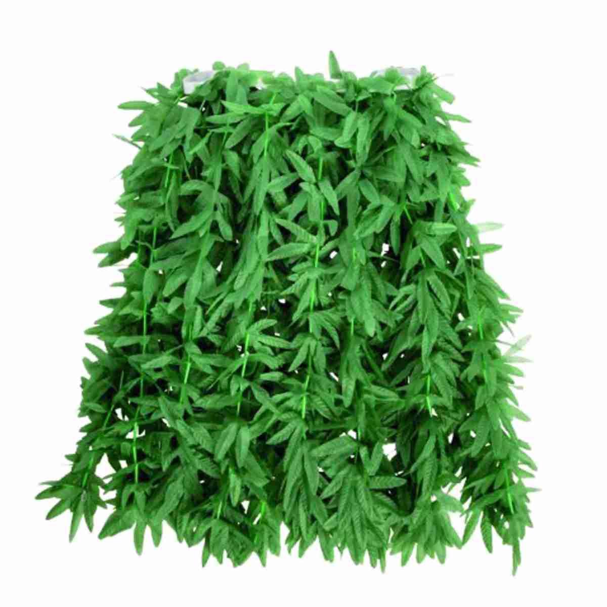 Gonna Madre Natura |Carnival Toys