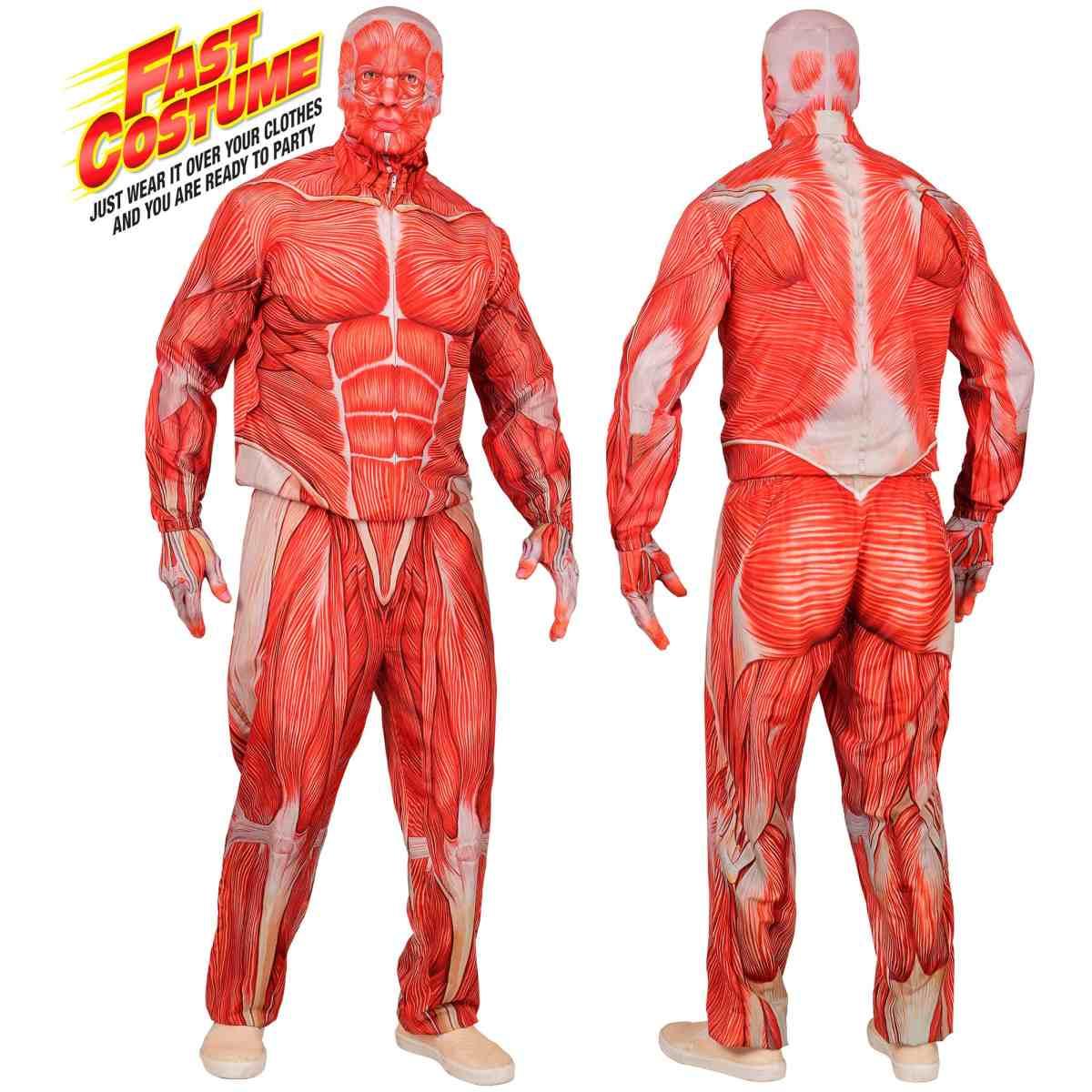 Costume Anatomia Fast |Uomo_D1_02124