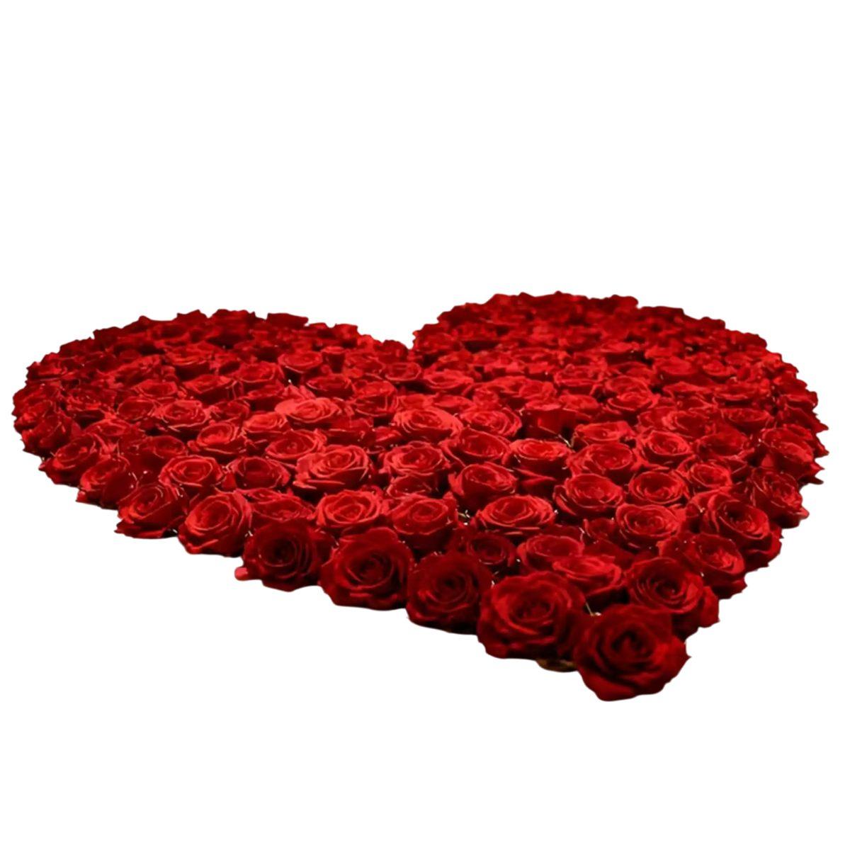 Rosa Rossa Set pz.6 cm.Ø10