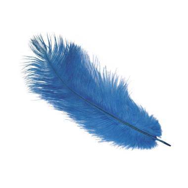 Piuma Struzzo 40 cm blu per Carnevale