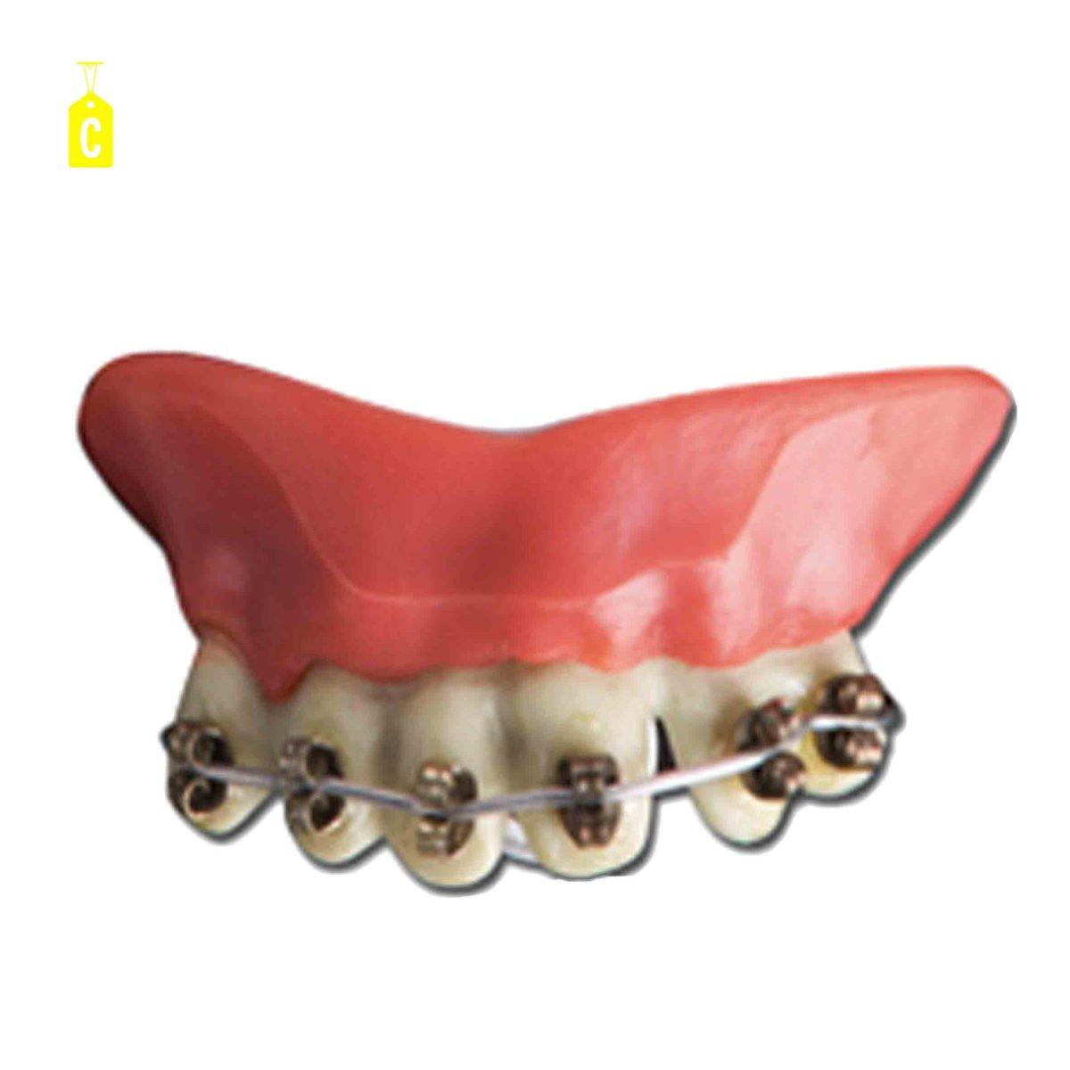 Denti Lusso Termoplastici 5 Modelli |Carnival Toys