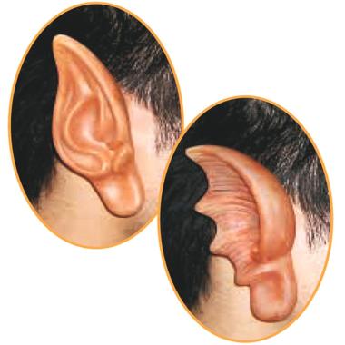 Orecchie Elfo |Carnival Toys