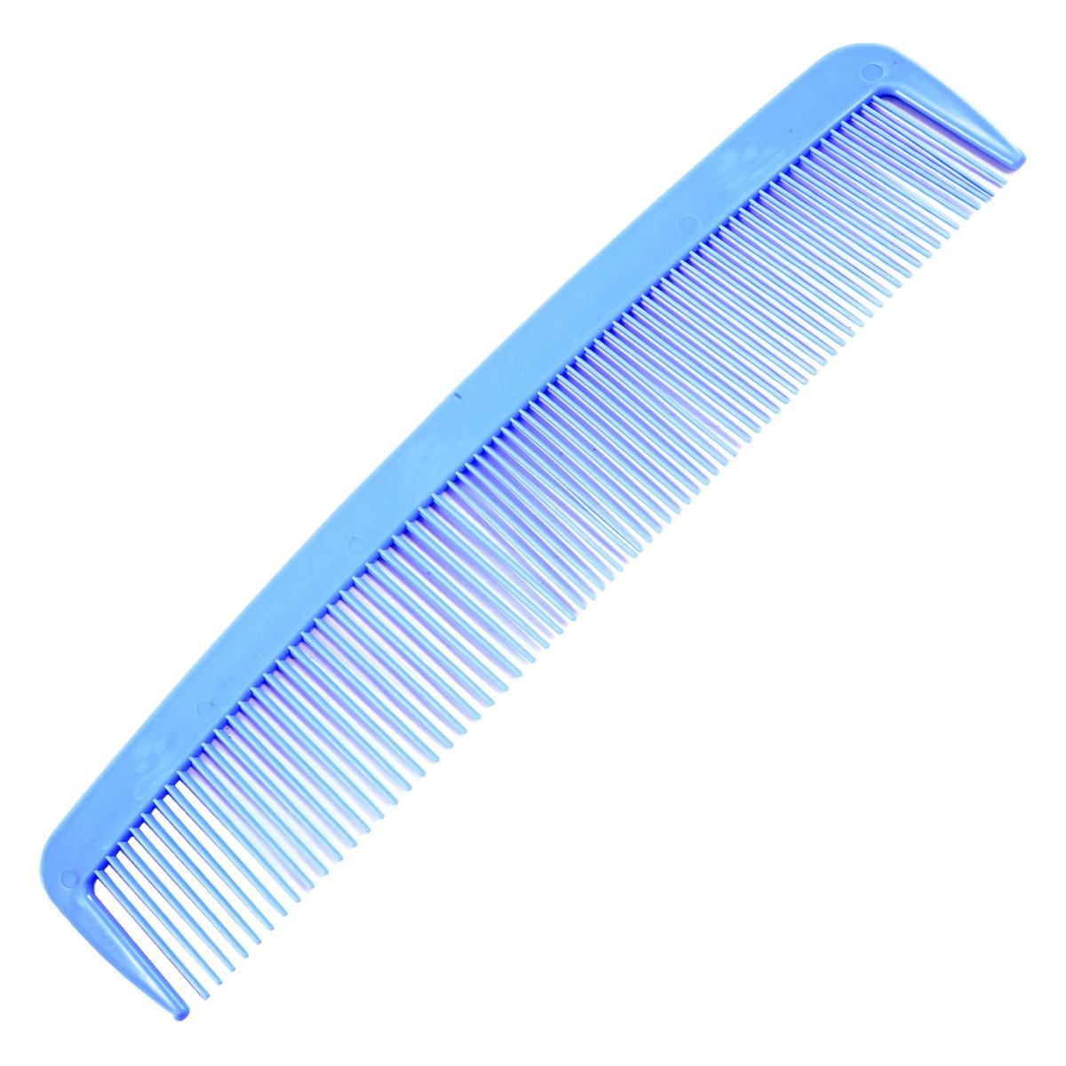 Pettine Maxi Color cm.35 5 Colori |Carnival Toys