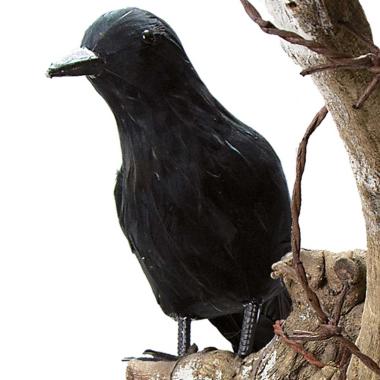 Corvo Nero con Piume Nero cm.25 |Carnival Toys
