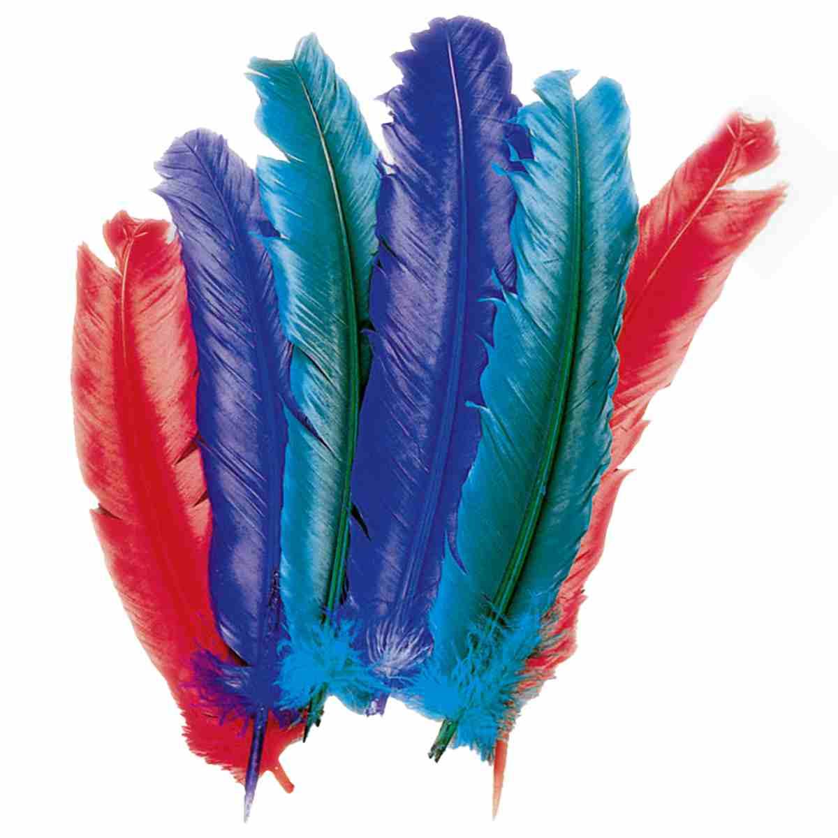 Piume Struzzo cm.25/30 Colori Assortiti Set pz.10 |Carnival Toys