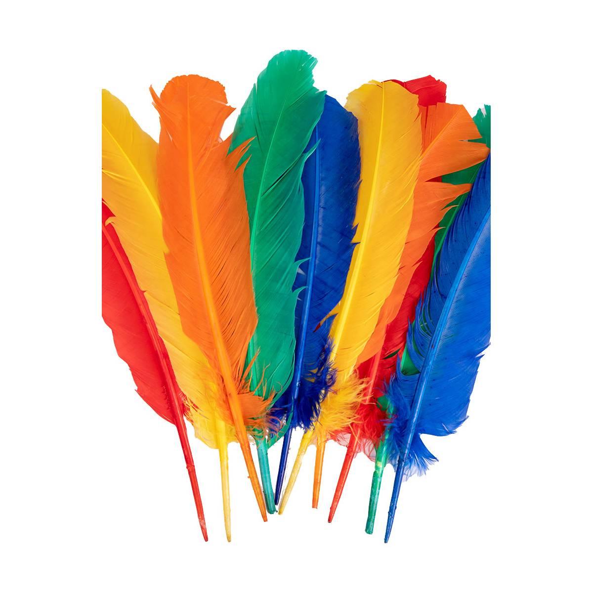 Piume Struzzo cm.25/30 Colori Assortiti Set pz.10 |Carnival Toys