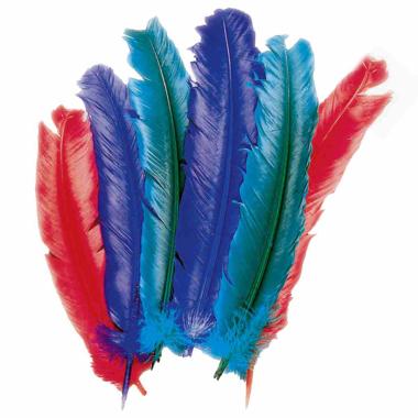 Piume Struzzo cm.25/30 Colori Assortiti Set pz.10 |Carnival Toys