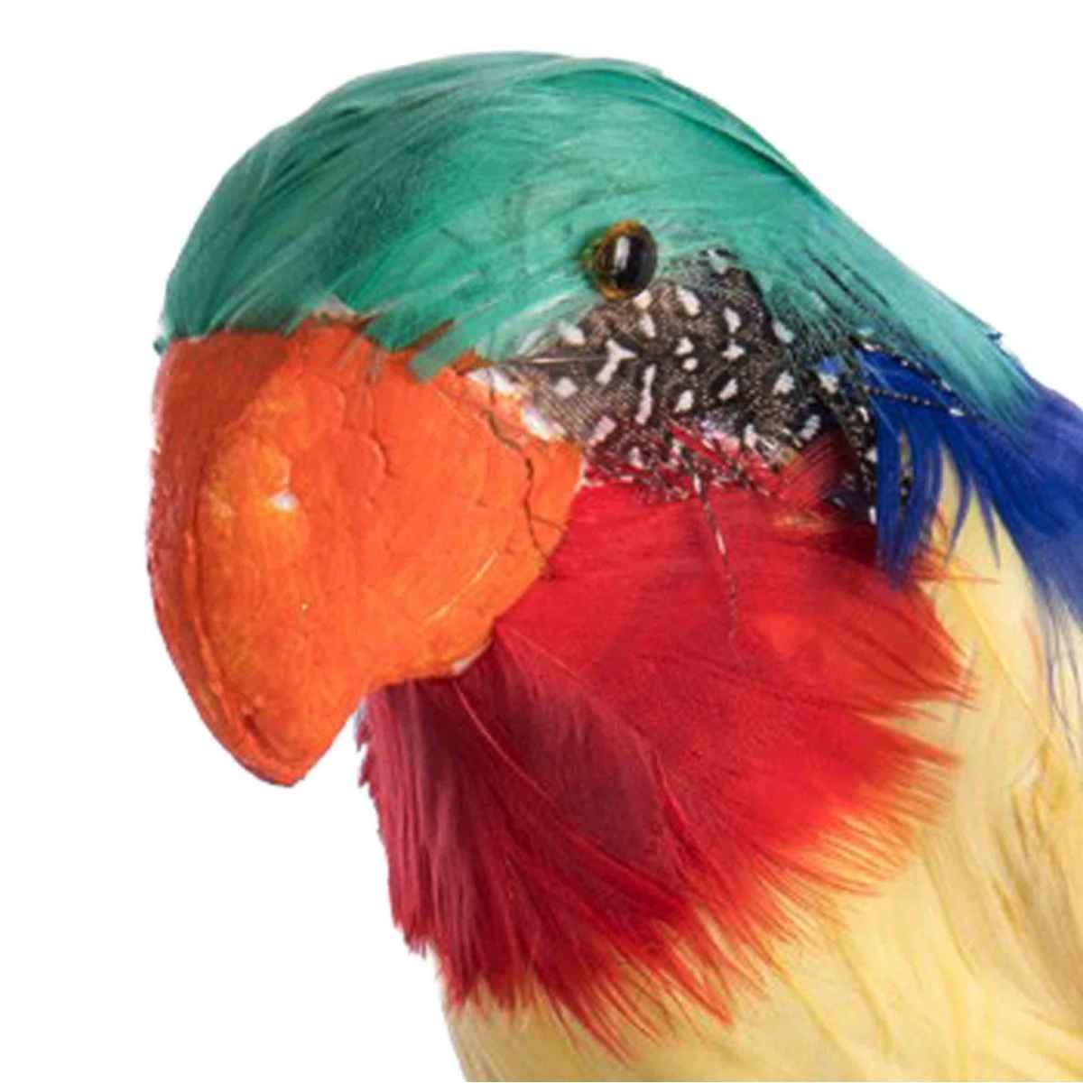 Pappagallo Piume cm.31 |Carnival Toys