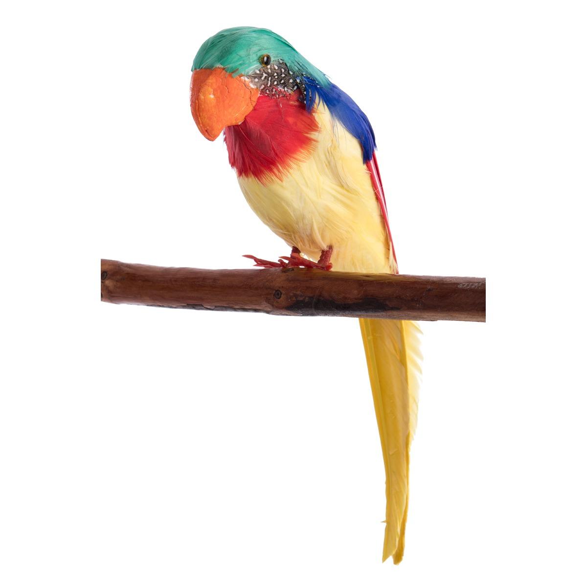 Pappagallo Piume cm.31 |Carnival Toys