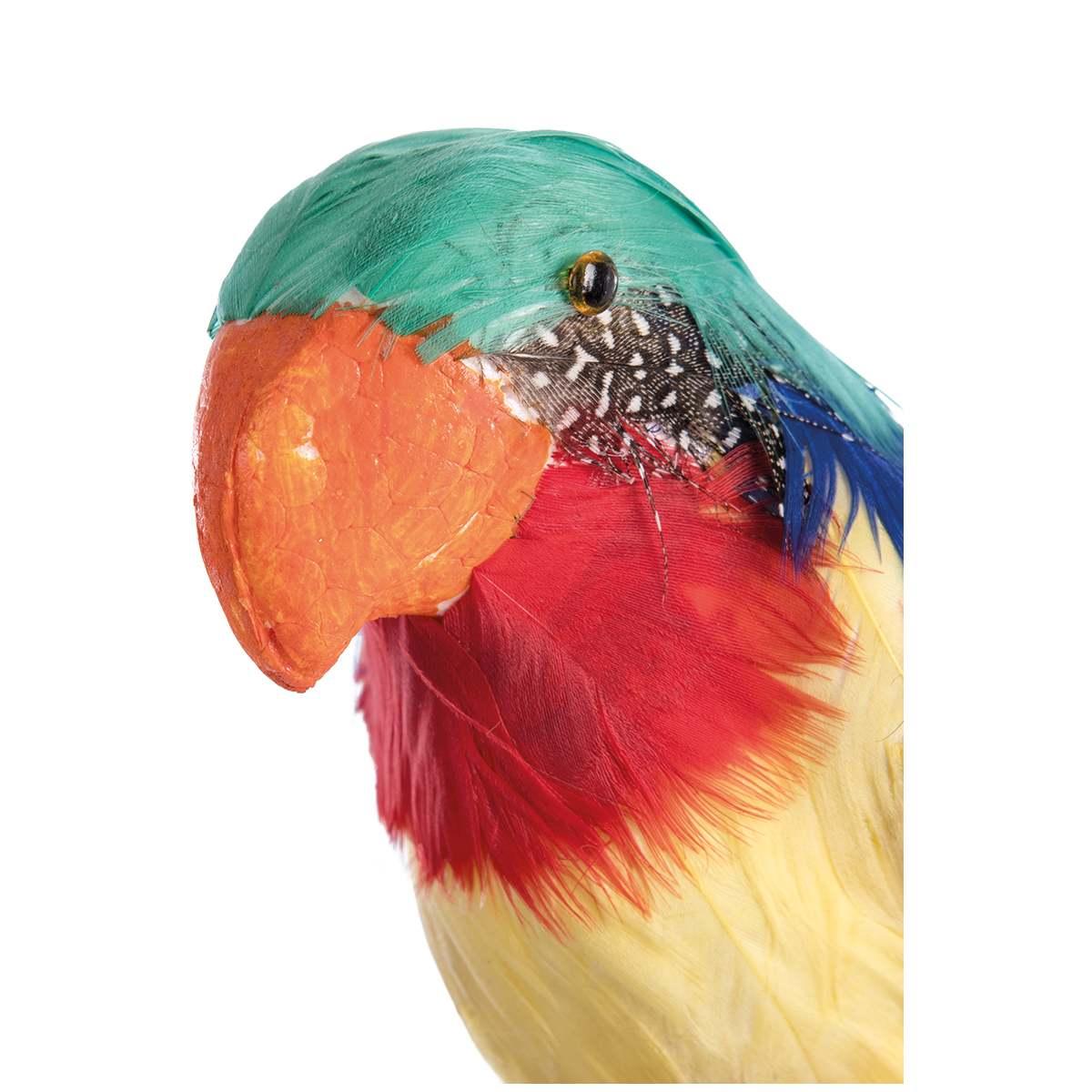 Pappagallo Piume cm.31 |Carnival Toys