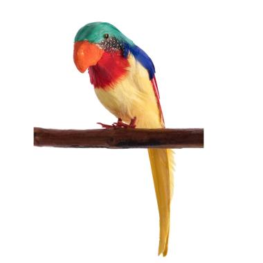 Pappagallo Piume cm.31 |Carnival Toys