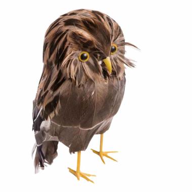 Civetta Piume cm.22 |Carnival Toys