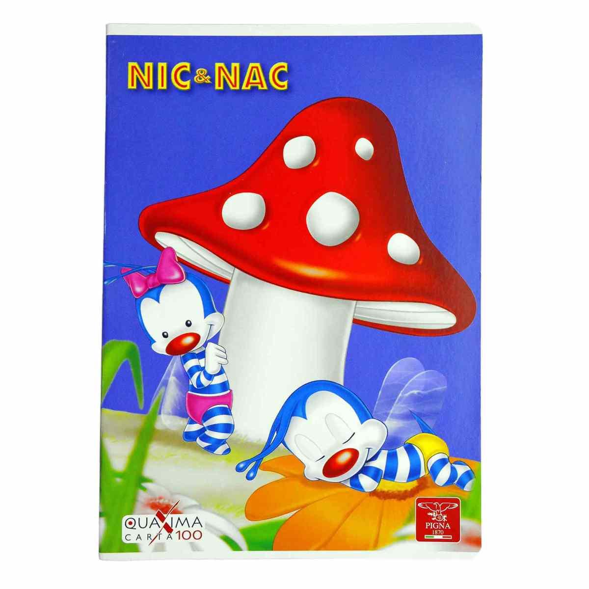 Quaderno Mod. A4 Riga B Nic Nac Pigna |Pigna