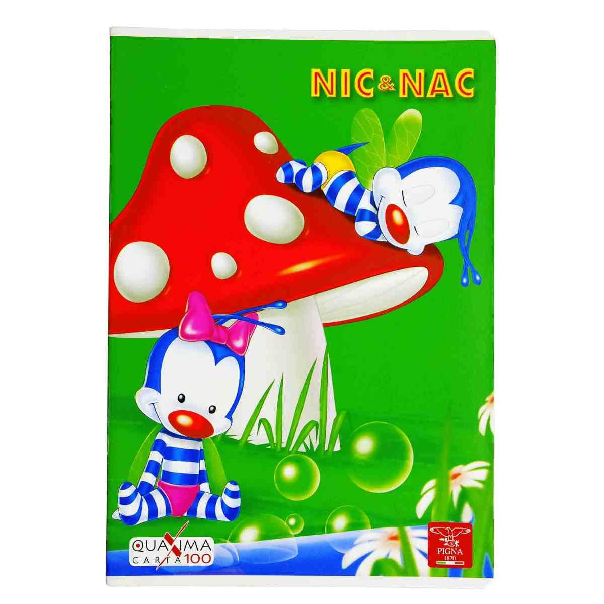 Quaderno Mod. A4 Riga B Nic Nac Pigna |Pigna