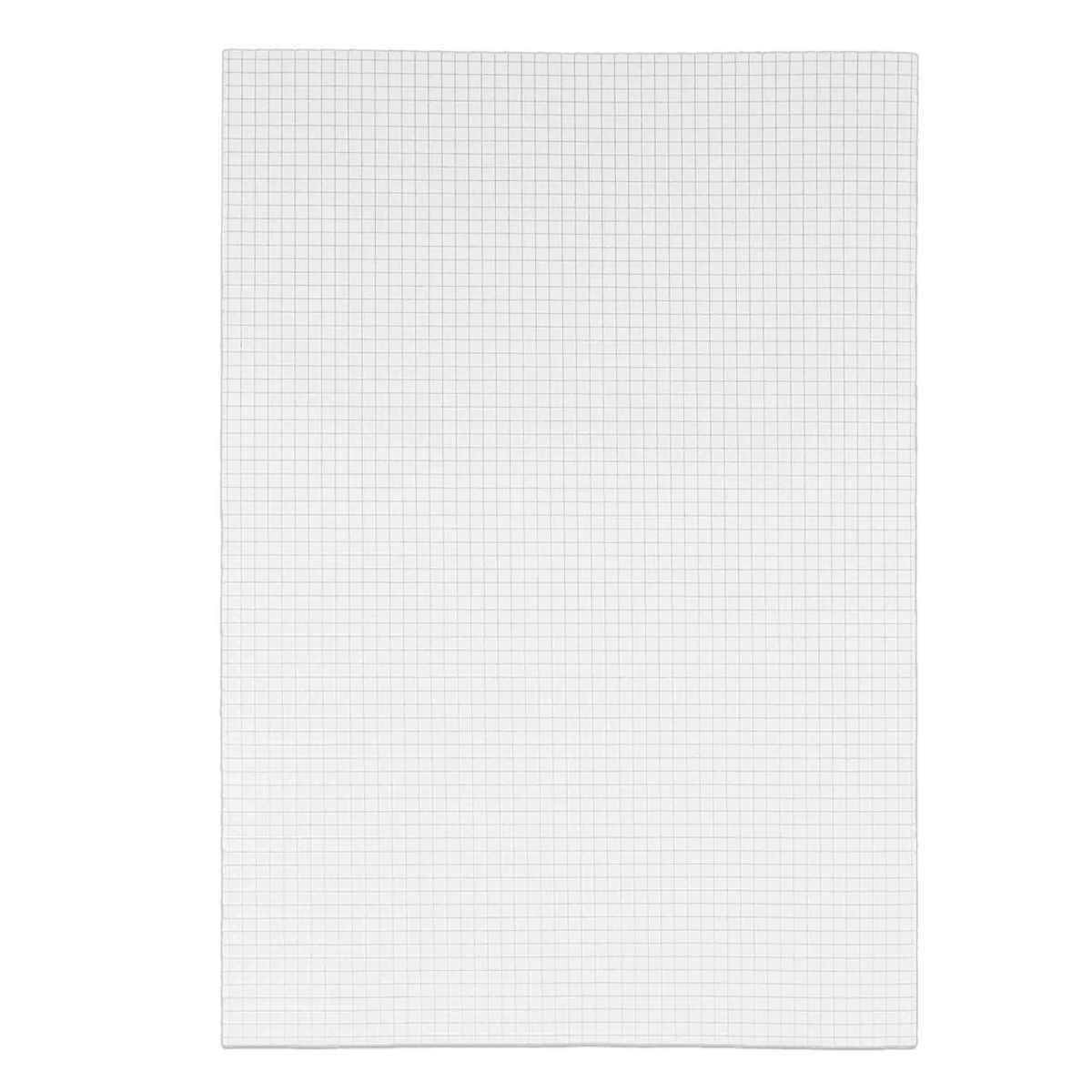 Foglio Protocollo Pigna Rigatura 4mm |Pigna