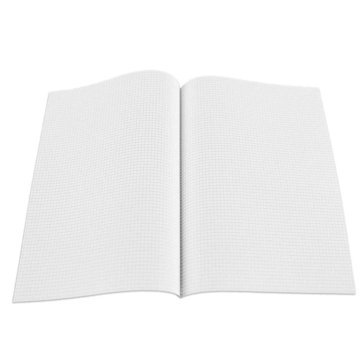 Foglio Protocollo Pigna Rigatura 4mm |Pigna