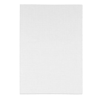 Foglio Protocollo Pigna Rigatura 4mm |Pigna